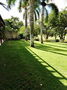 %_tempFileNameTerrace%203%20rear%20garden%20a%