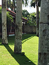 %_tempFileNameTerrace%203%20rear%20garden%20b%